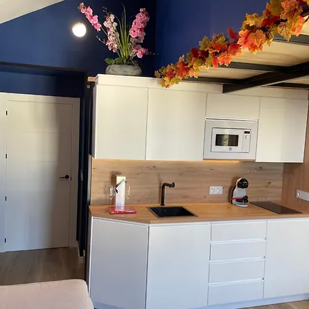 Nevada Loft Appartement *